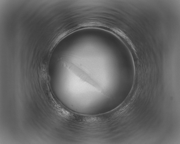 X0000052550945200507081606