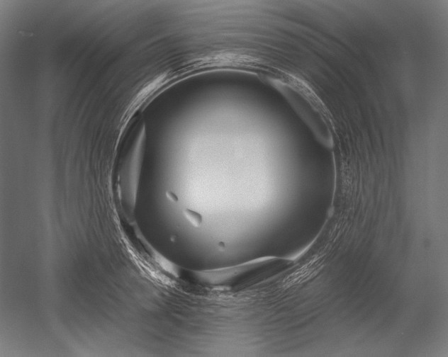 X0000052550946200507081606