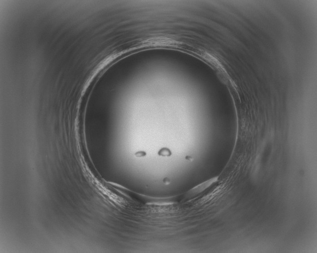 X0000052550947200507081606