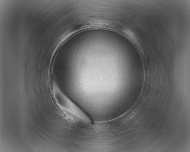 X0000052550948200507081606