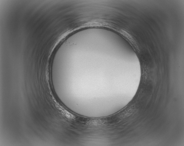 X0000052550950200507081606