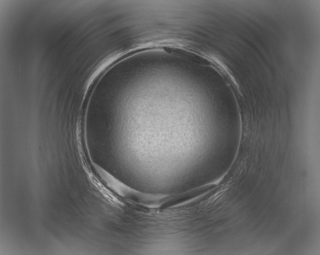 X0000052550952200507081606