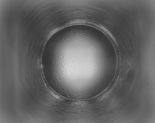 X0000052550953200507081606