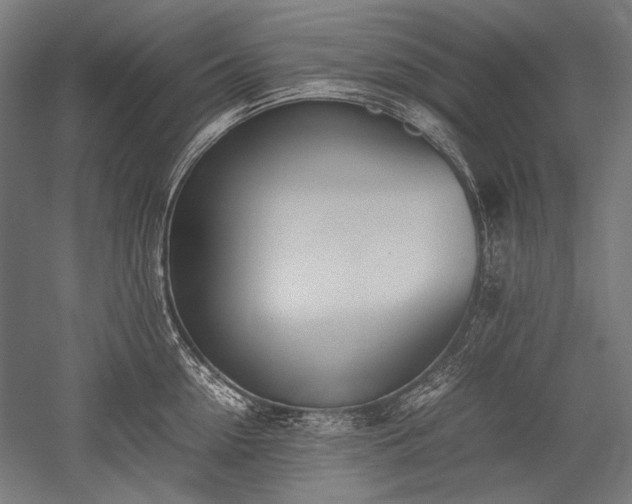 X0000052550954200507081606