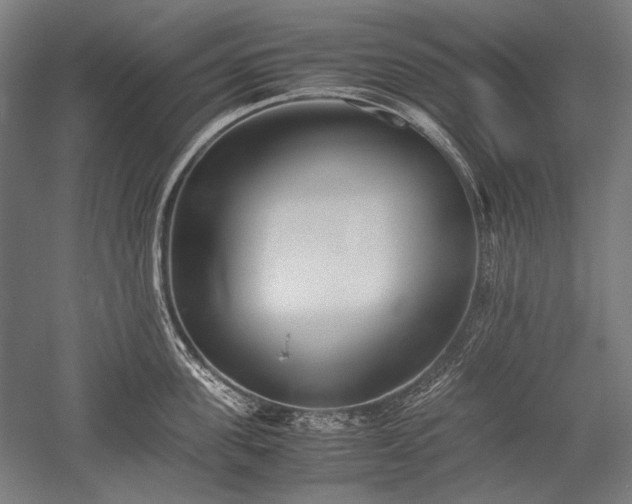 X0000052550955200507081606