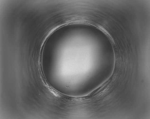 X0000052550956200507081606