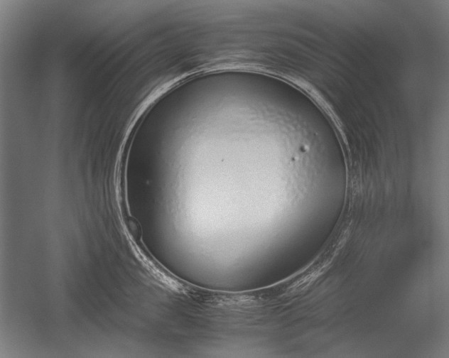 X0000052550957200507081606