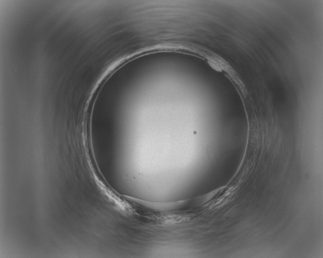 X0000052550958200507081606