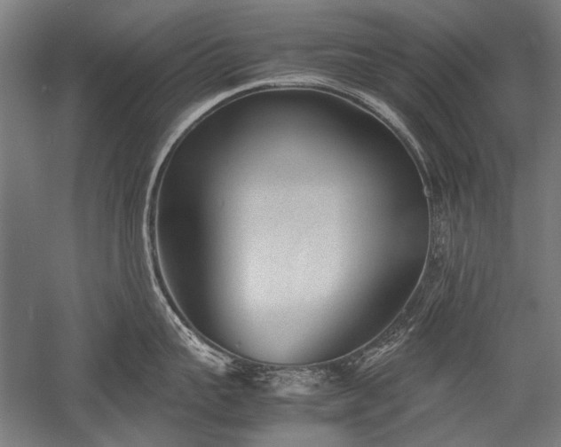 X0000052550959200507081606