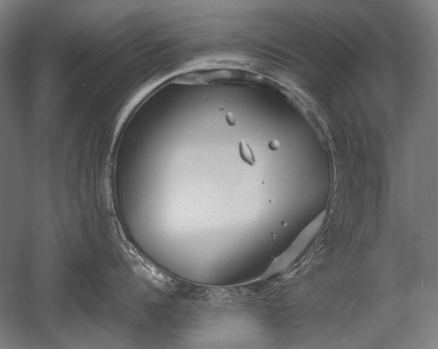 X0000052550960200507081606