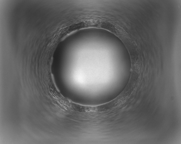 X0000052550961200507081605