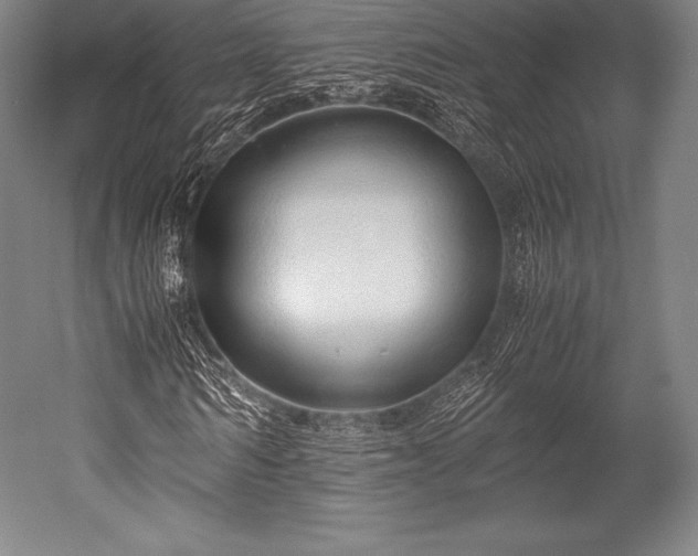 X0000052550962200507081605