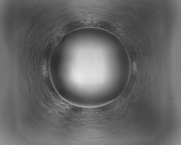 X0000052550963200507081605