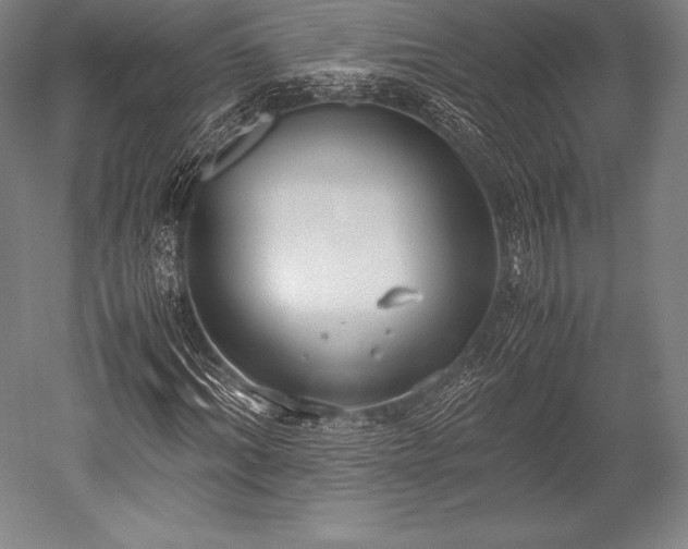 X0000052550964200507081605