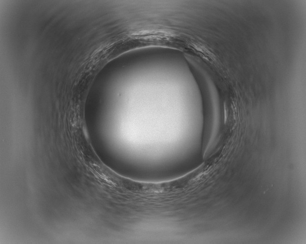 X0000052550965200507081605