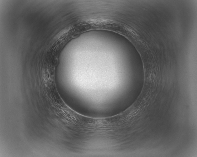 X0000052550966200507081605