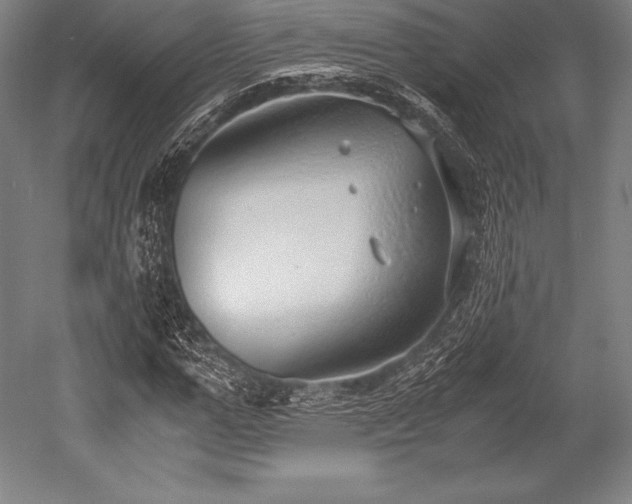 X0000052550967200507081605