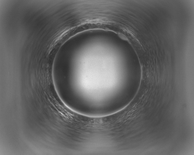 X0000052550968200507081605