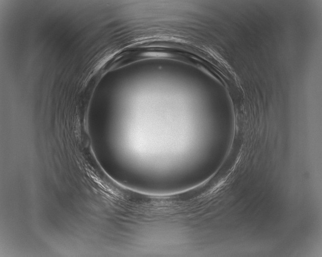 X0000052550969200507081605