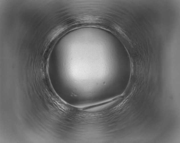 X0000052550970200507081605