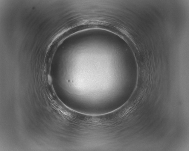 X0000052550971200507081605