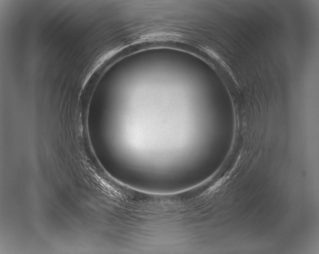 X0000052550973200507081605