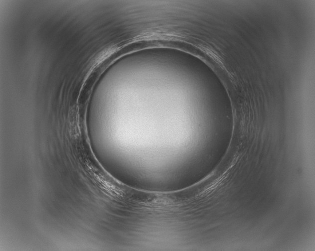 X0000052550974200507081605