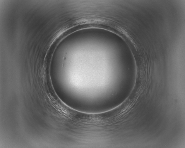 X0000052550975200507081605