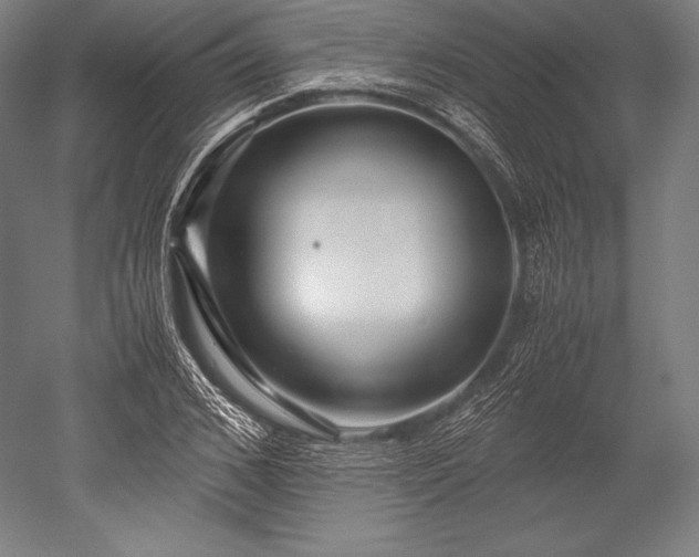 X0000052550976200507081605