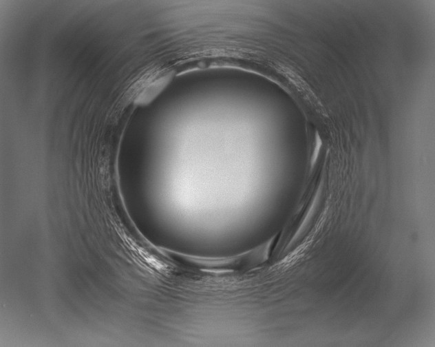 X0000052550977200507081605