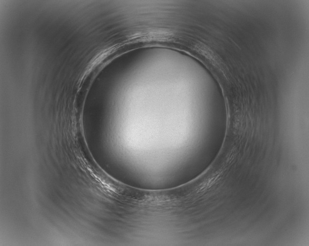 X0000052550978200507081605