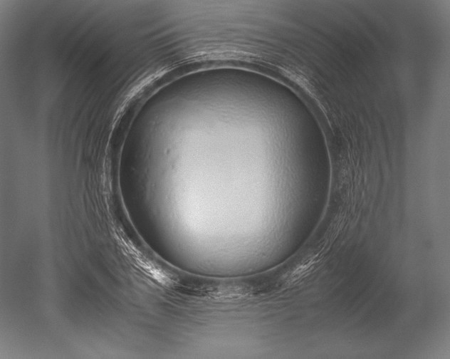 X0000052550979200507081605