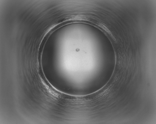 X0000052550980200507081605