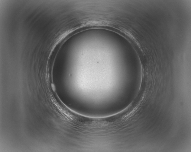 X0000052550981200507081605