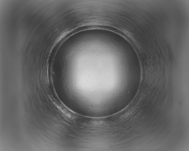 X0000052550982200507081605