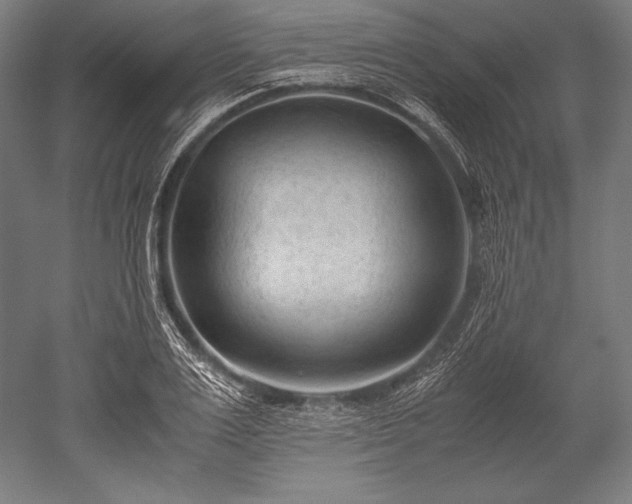 X0000052550983200507081605