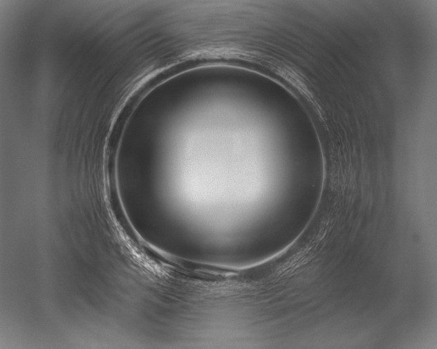 X0000052550984200507081605