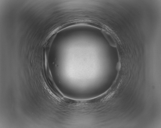 X0000052550985200507081605