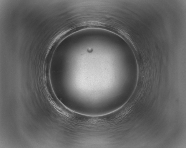 X0000052550987200507081605