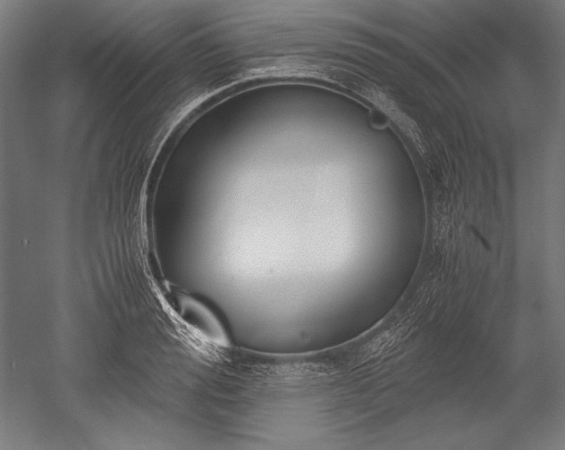 X0000052550988200507081605