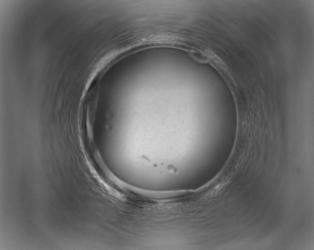 X0000052550989200507081605