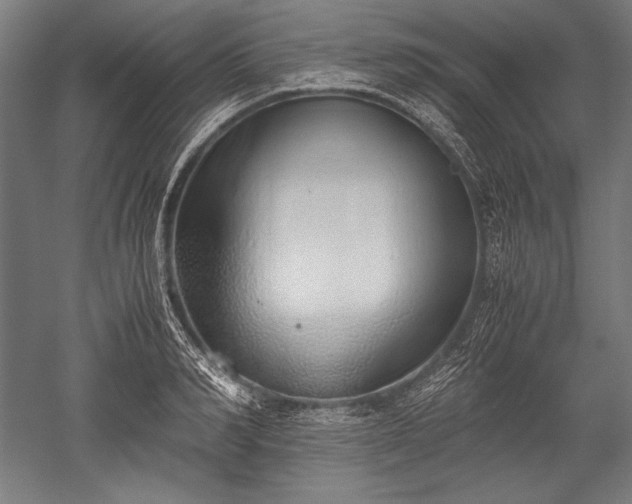 X0000052550990200507081605