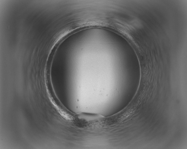 X0000052550991200507081605