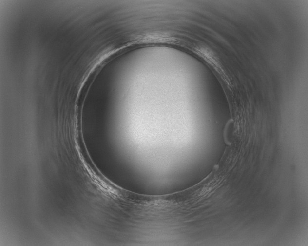 X0000052550992200507081605