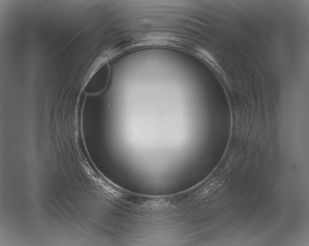 X0000052550994200507081605