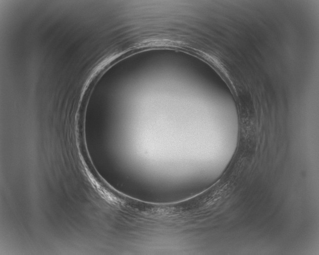 X0000052550995200507081605