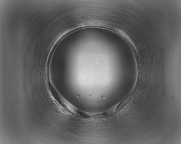 X0000052550996200507081604