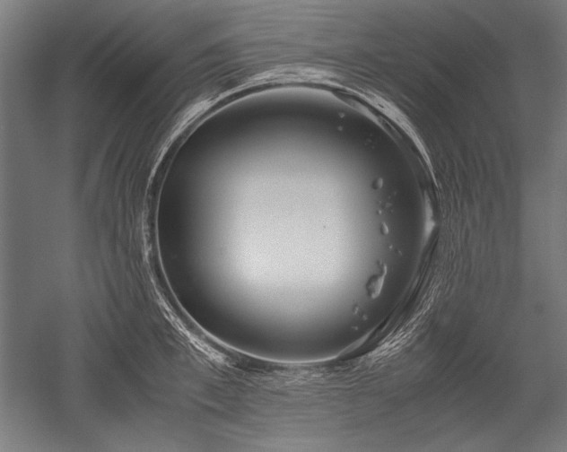 X0000052550997200507081604