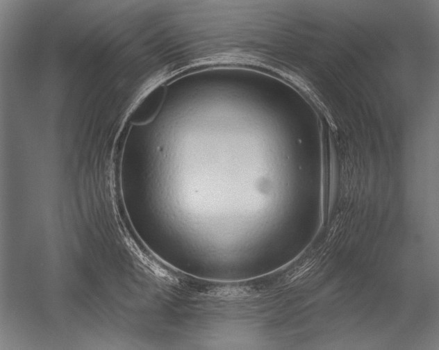 X0000052550998200507081604