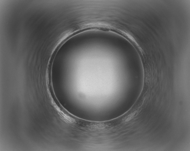 X0000052550999200507081604